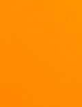 4.25x2.75 Labels - Fluorescent Orange (for laser &amp; inkjet printers) - Rectangle - SL535-FO